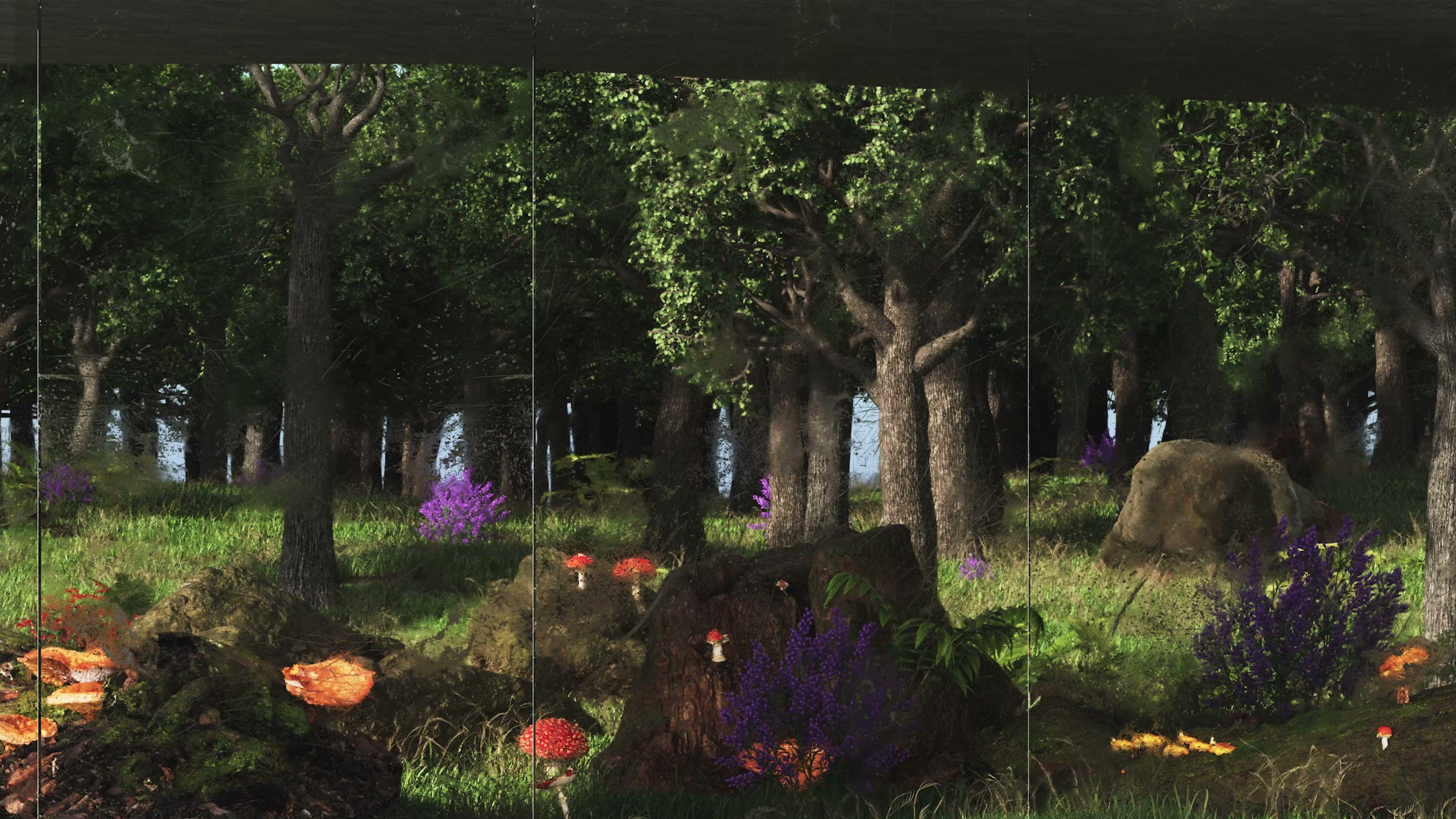 Forest Tranquility