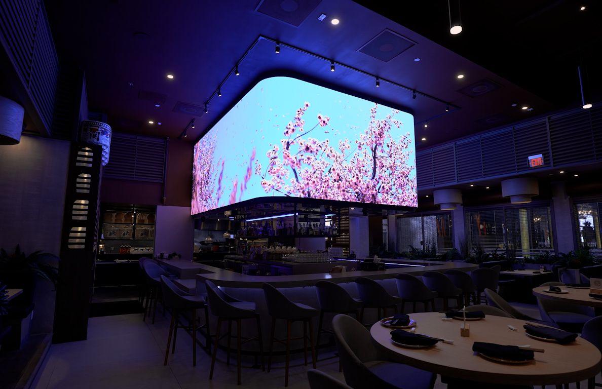 Cherry Blossoms @Lounge Bar