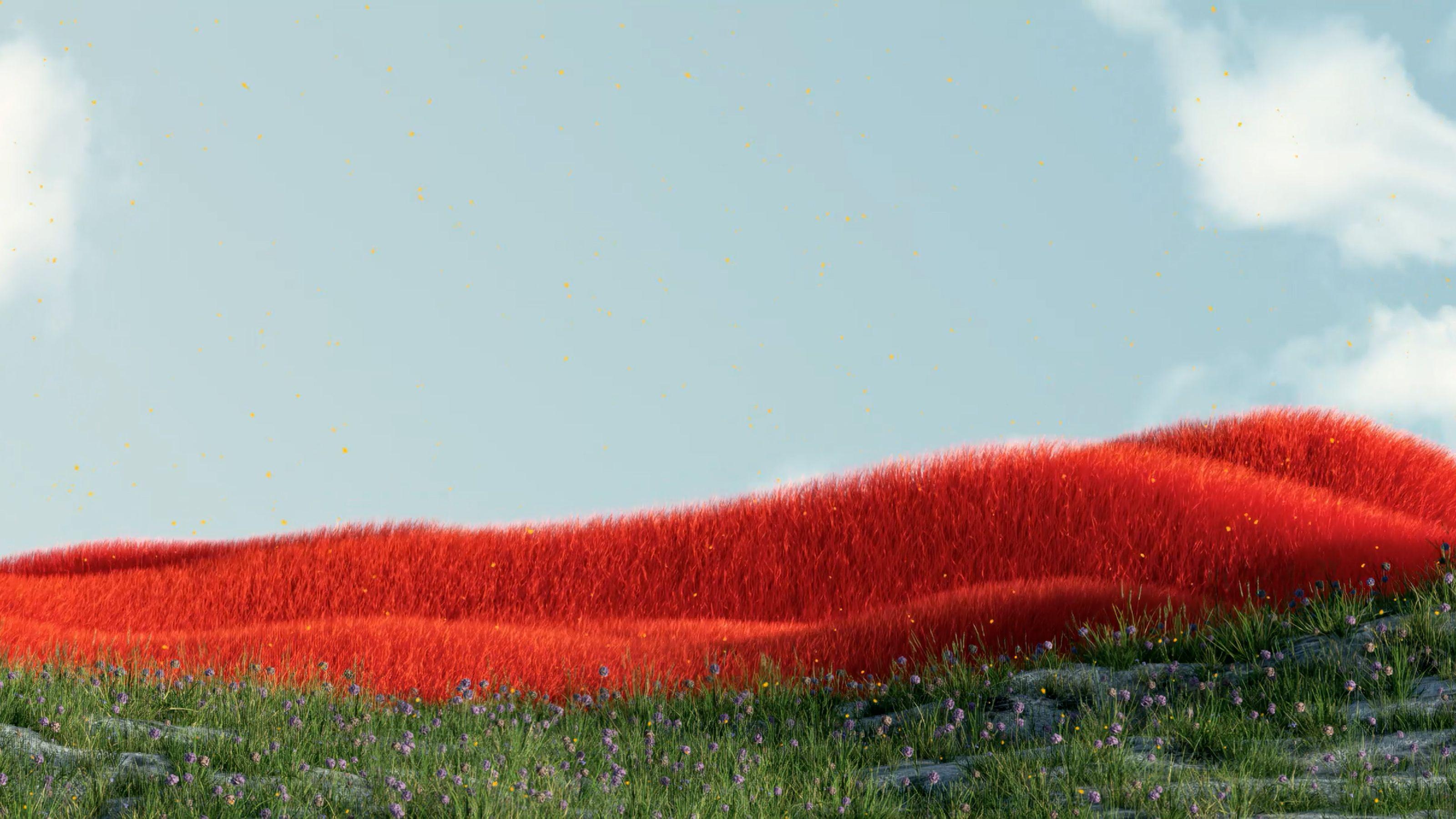 Dreamscape Hills