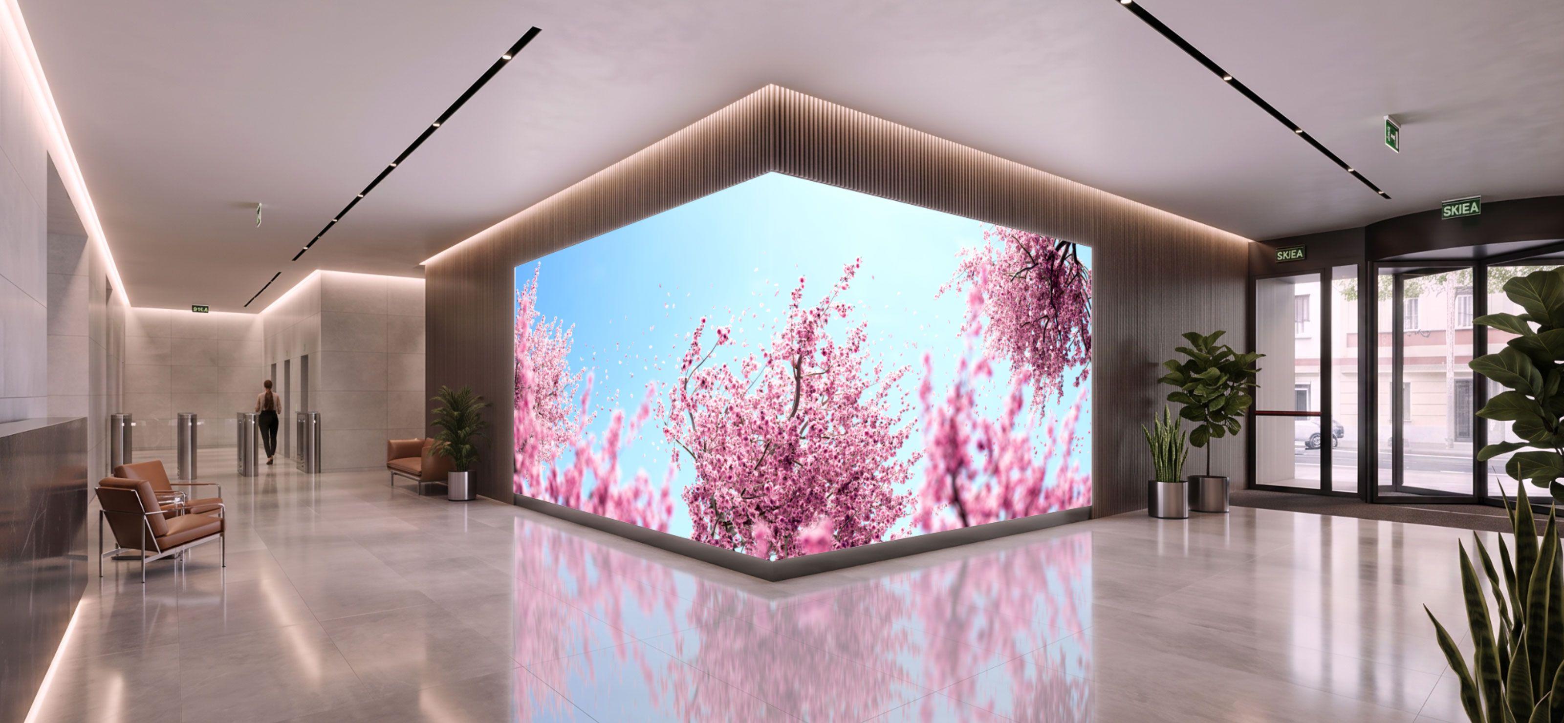 Cherry Blossoms