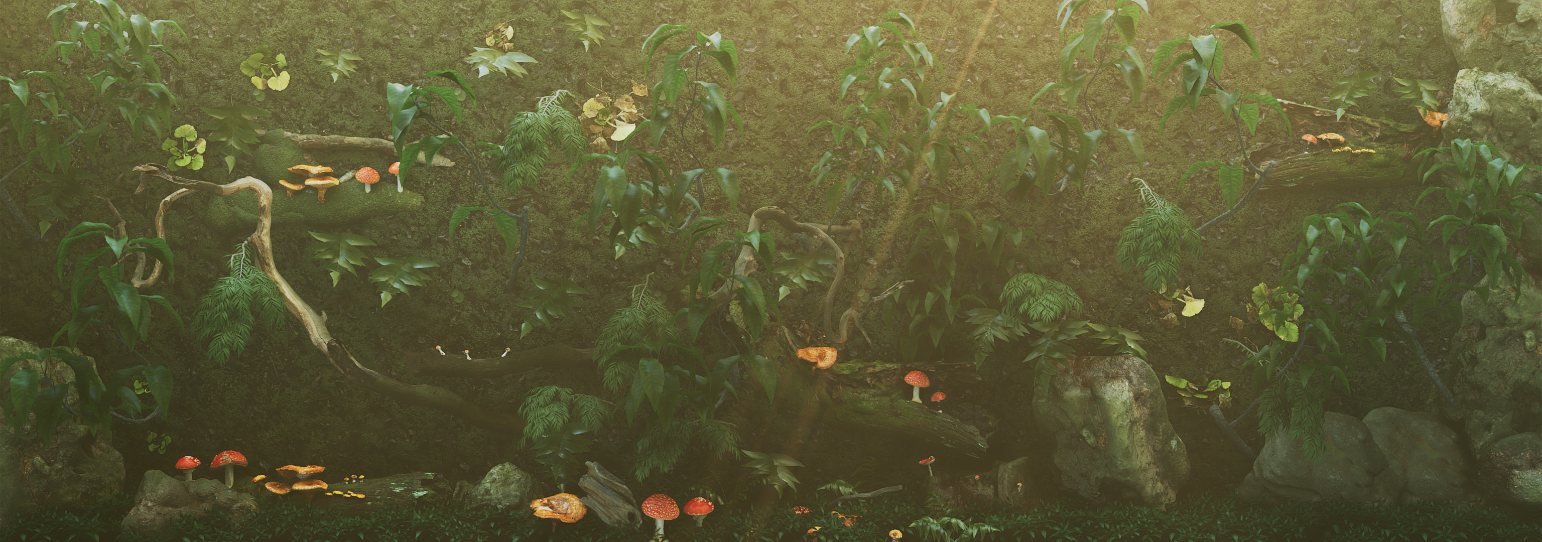 Seasonal Garden: Autumn