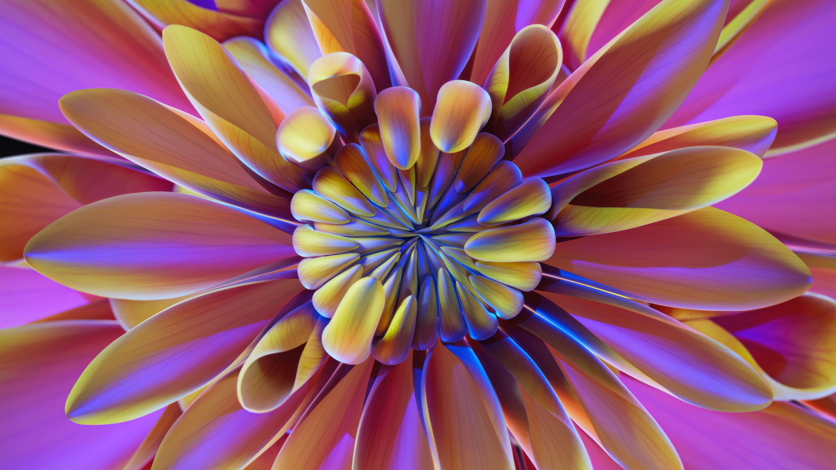 Bloom Drift 02