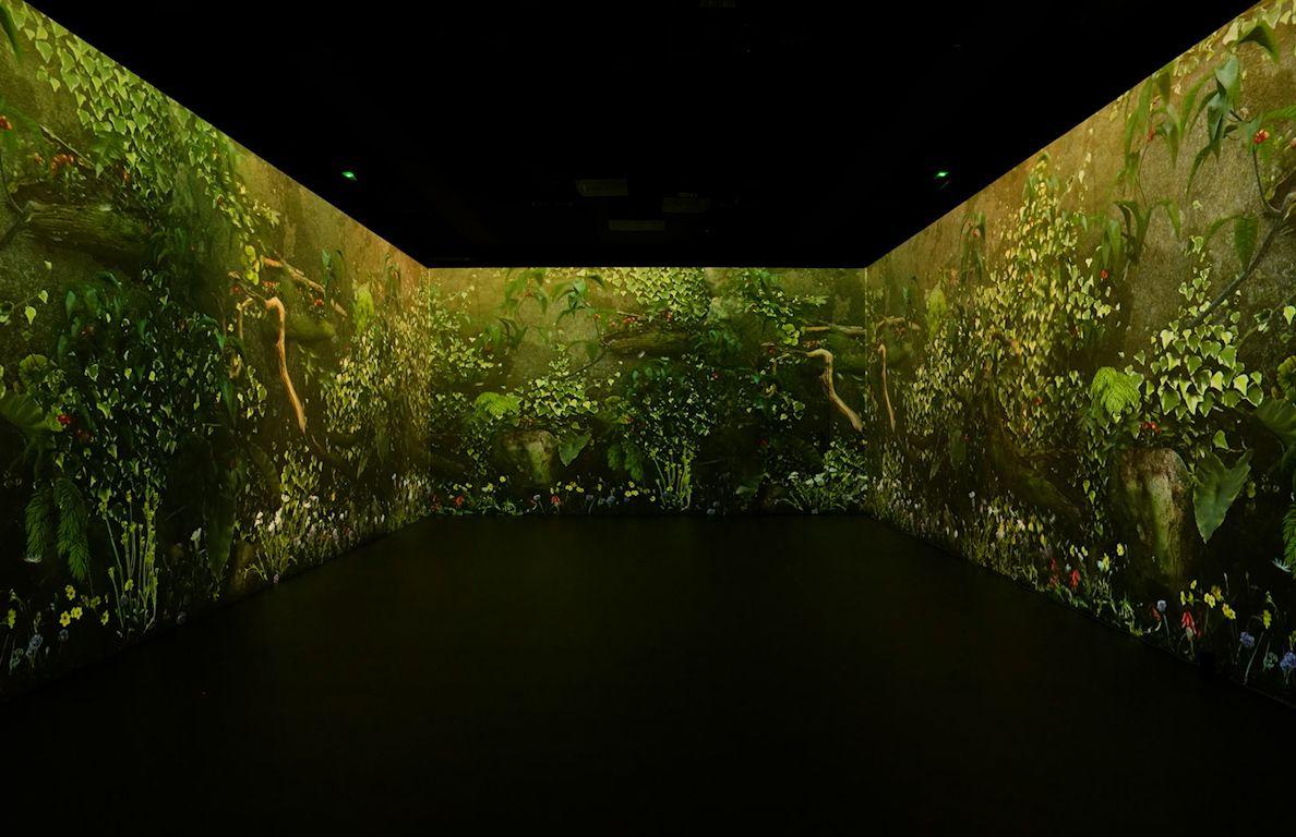Seasonal Garden: Spring @Inmersive room