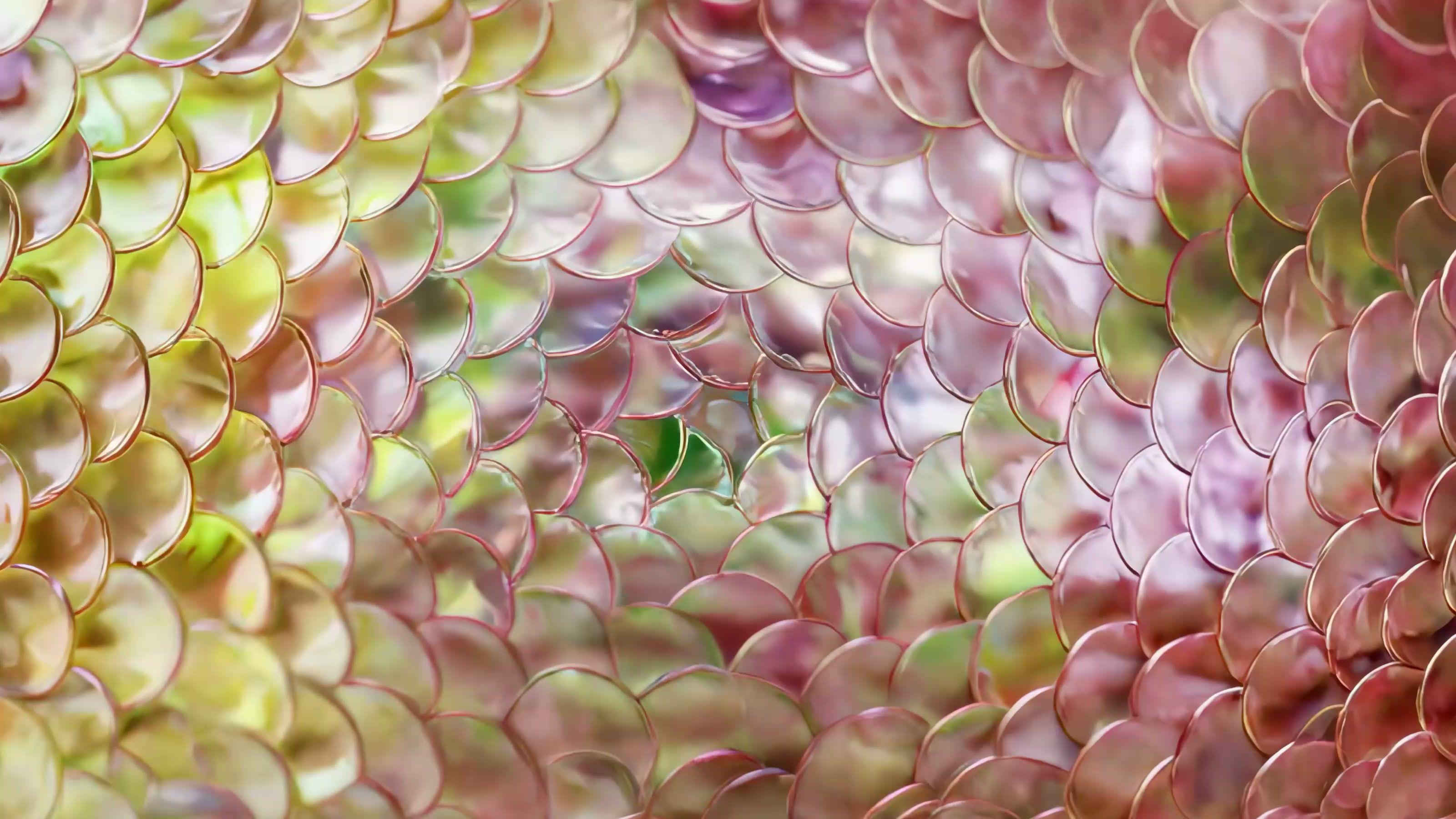 Opal Tide