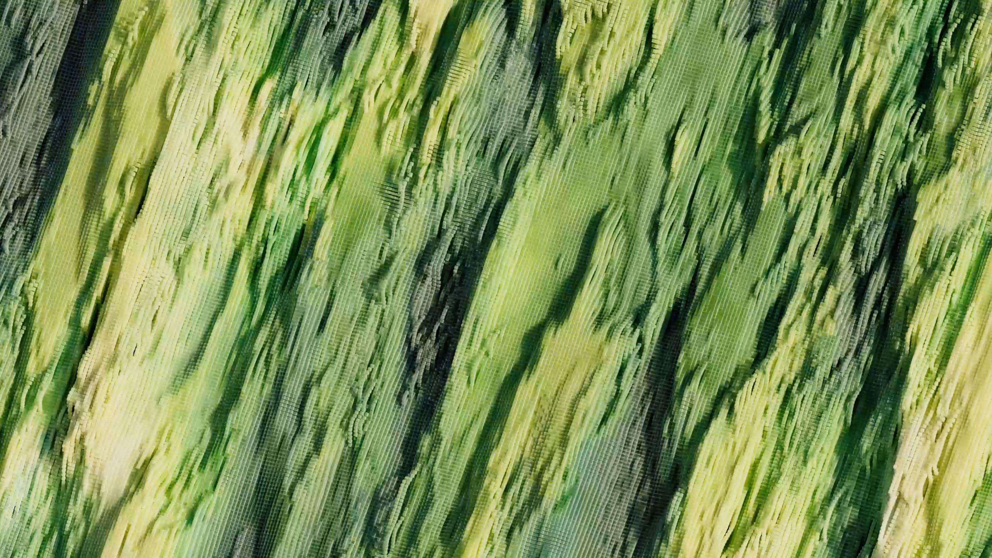 Tidal Strata: Forest Stream