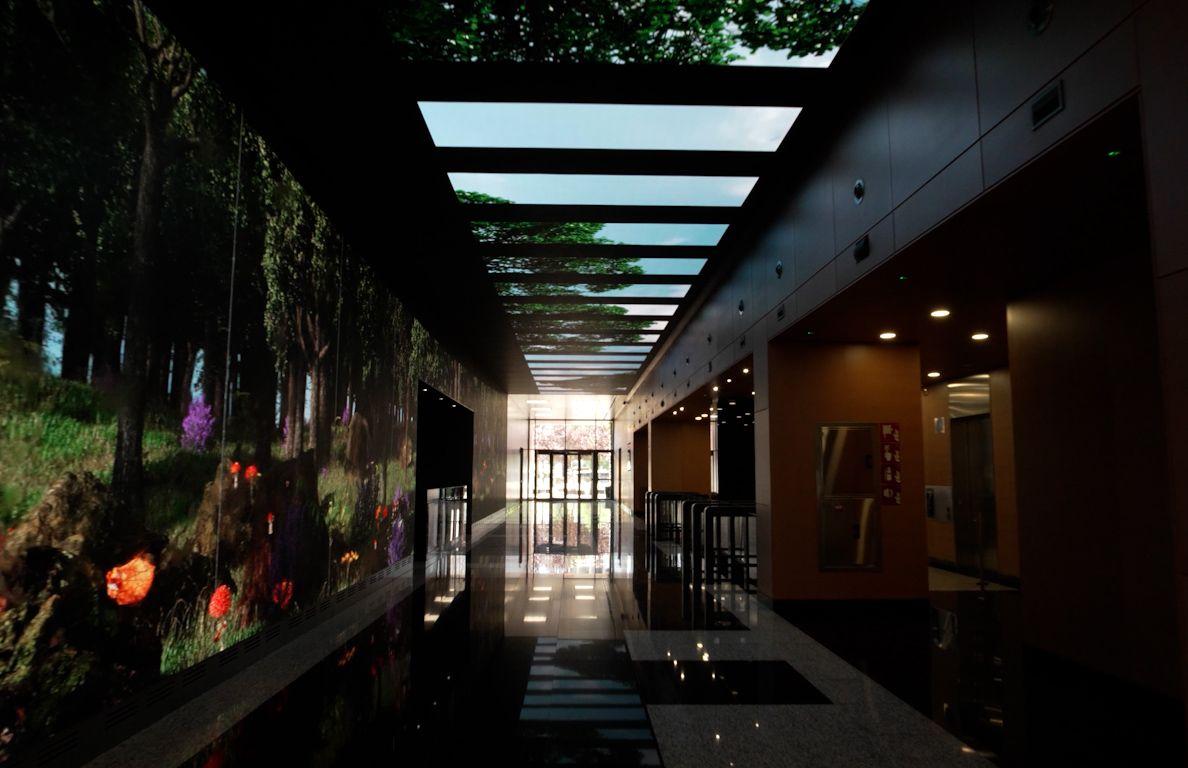Forest Tranquility @Corporate lobby